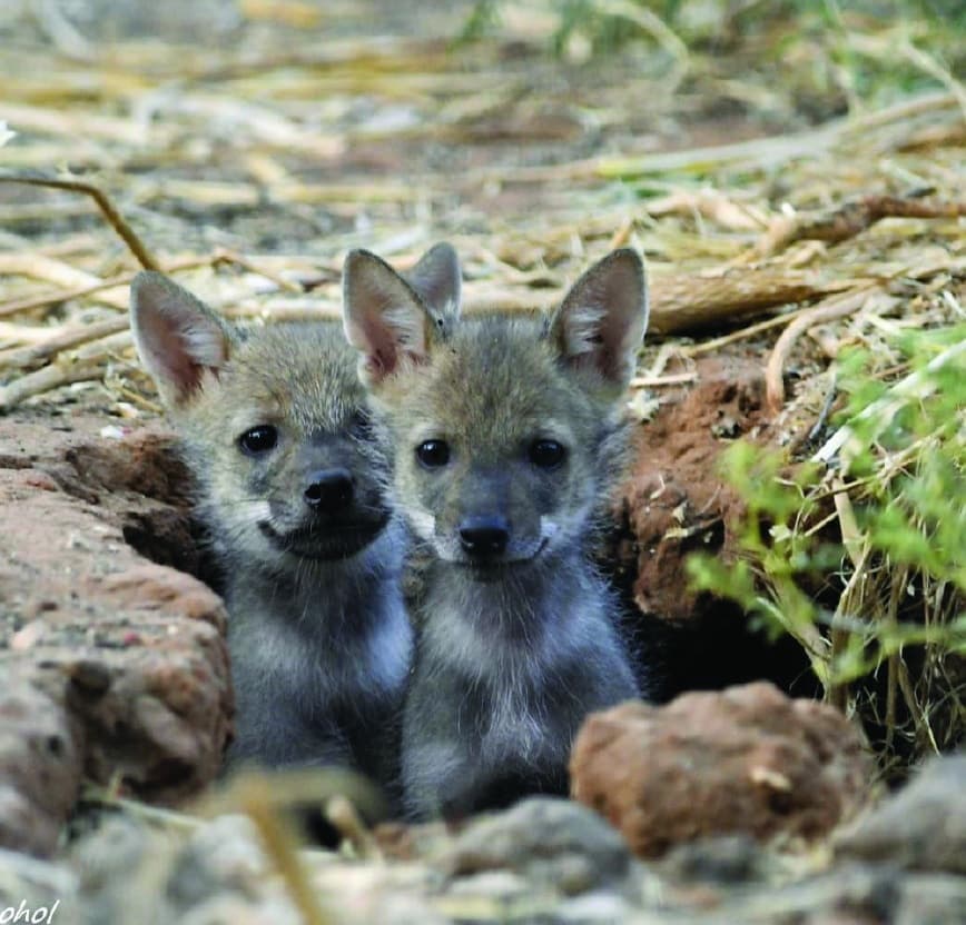 בין סתיו לחורף לקטנטנים בגני יהושע