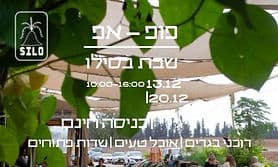 פופ-אפ שבת בסילו