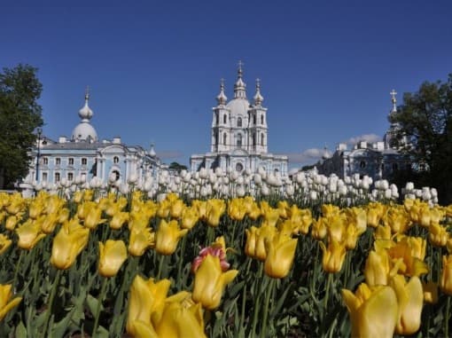מפגשי תרבותסנט פטרסבורג: היהלום שבכתר הרוסי