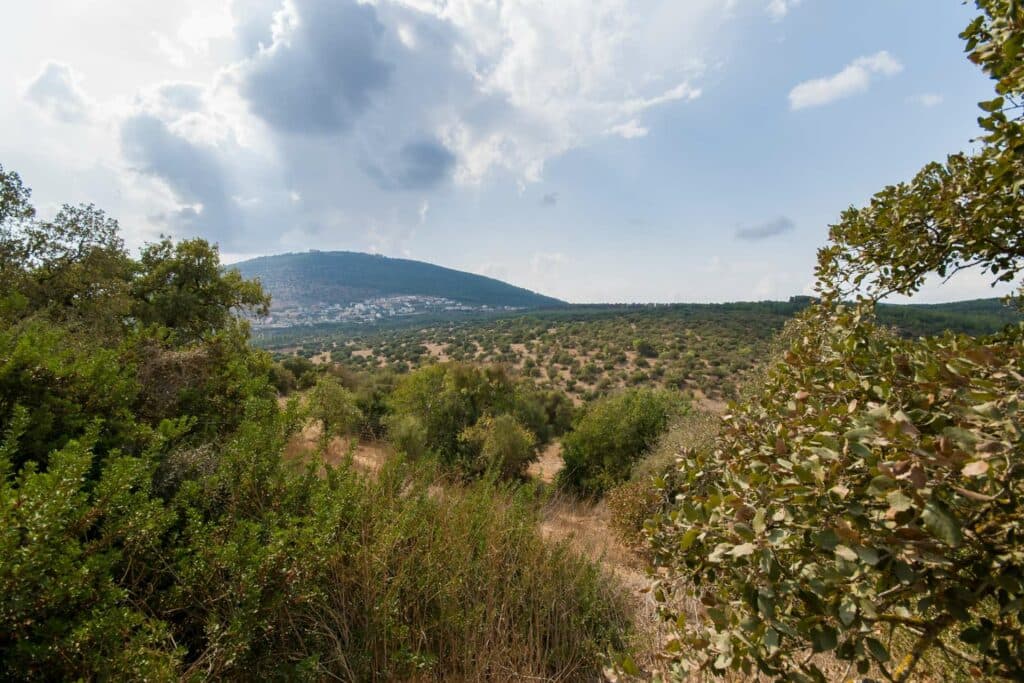 חופשת חנוכה משפחתית בלב הגליל