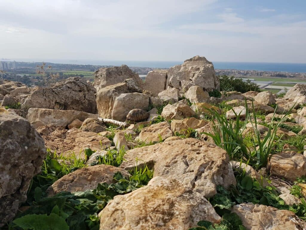 טיול ברמת הנדיב: מסע מאתגר של טבע ונוף