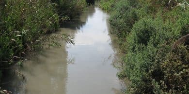 נחל קדומים, ביצות וגשרים – סיור לנחל קישון ולנחל נעמן